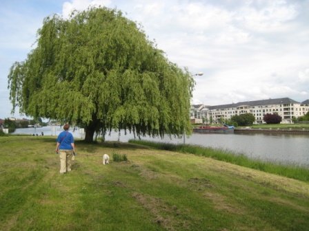 Tranquil compiegne